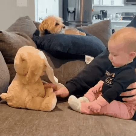 Doudou Cache-Cache Animé – L’ourson qui amuse et rassure votre enfant